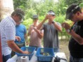 /album/fotogaleria/curso-de-sexado-a-peruanos-jpg/
